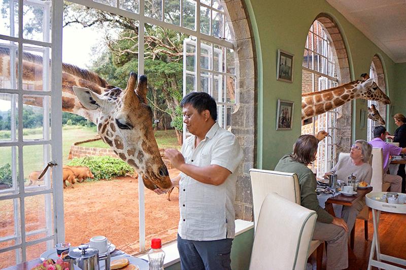 Giraffe Manor, Kenya2 (2)