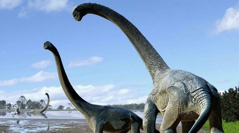 Új dinoszauruszfajt fedeztek fel Ausztráliában